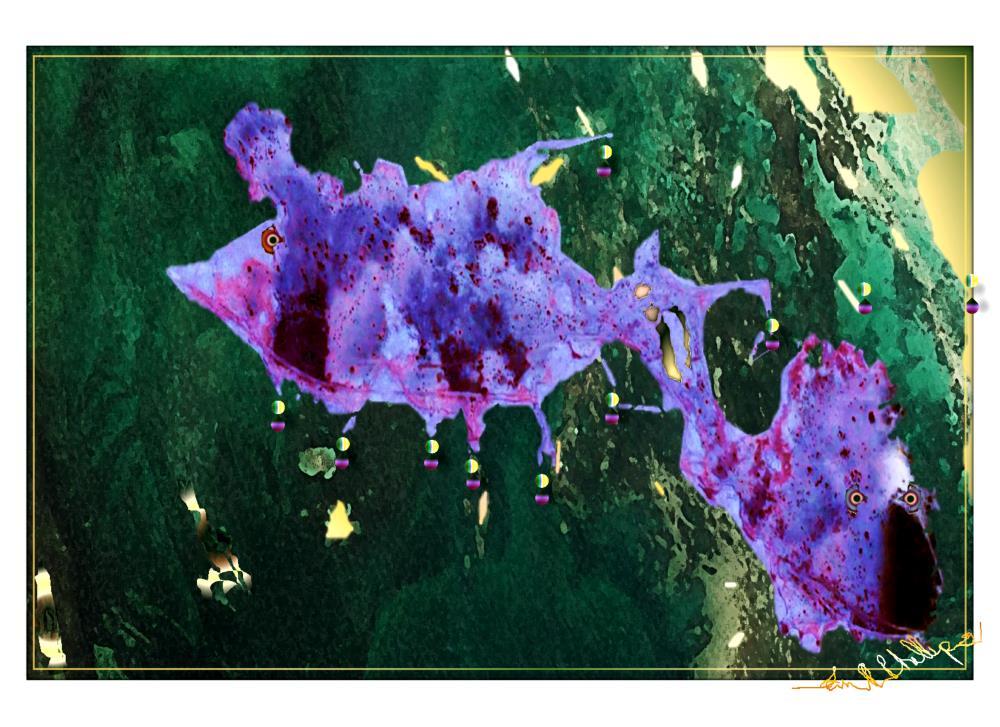 Listen to the fish stories